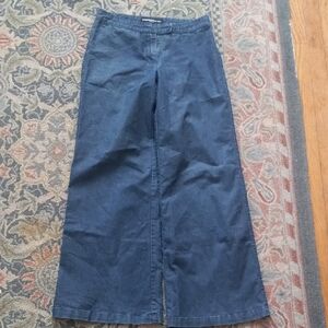 Express Denim Wide Leg Pants in Dark Blue Vguc